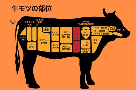 牛 意味|「牛(ウシ)」の意味や使い方 わかりやすく解説 Weblio辞書